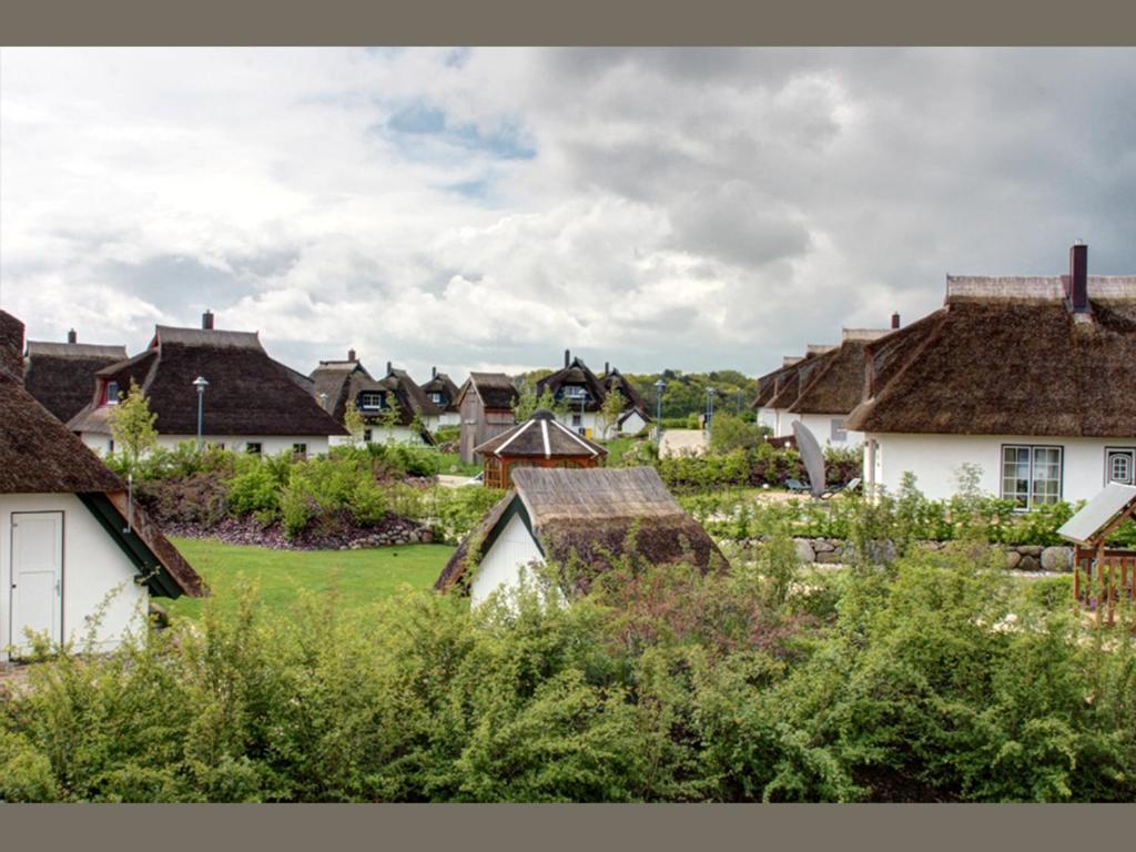Villa Butterblume Zinnowitz Exterior foto